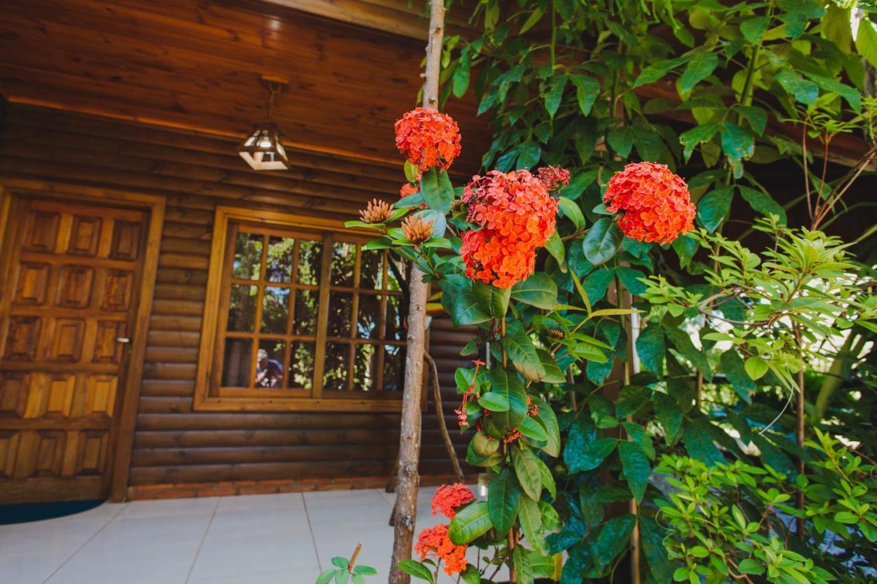 Cabanas Riberas Del Parana Пуэрто-Игуасу Экстерьер фото